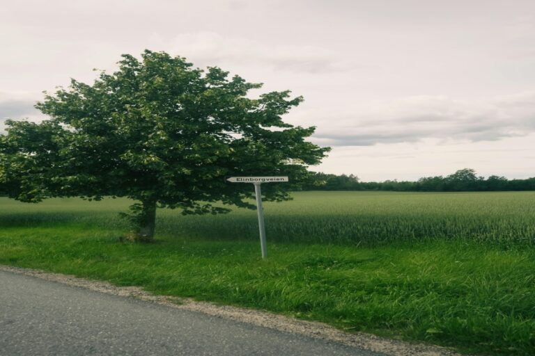 PFAS-free auf Produktlabels: So liest du das Kürzel