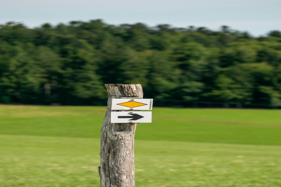 Sonnensymbol auf der Fernbedienung – was diese Taste macht