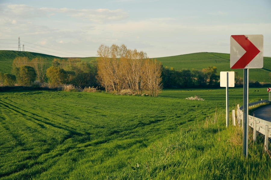 Was bedeutet Leinenpflicht im Wald?